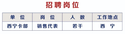2025年浦發銀行西寧分行信用卡部銷售代表招聘啟事（5.26）
